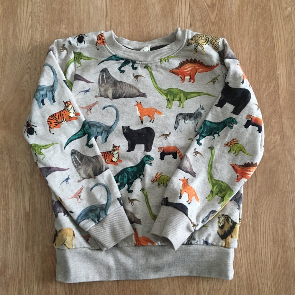 H&M boys sweatshirt